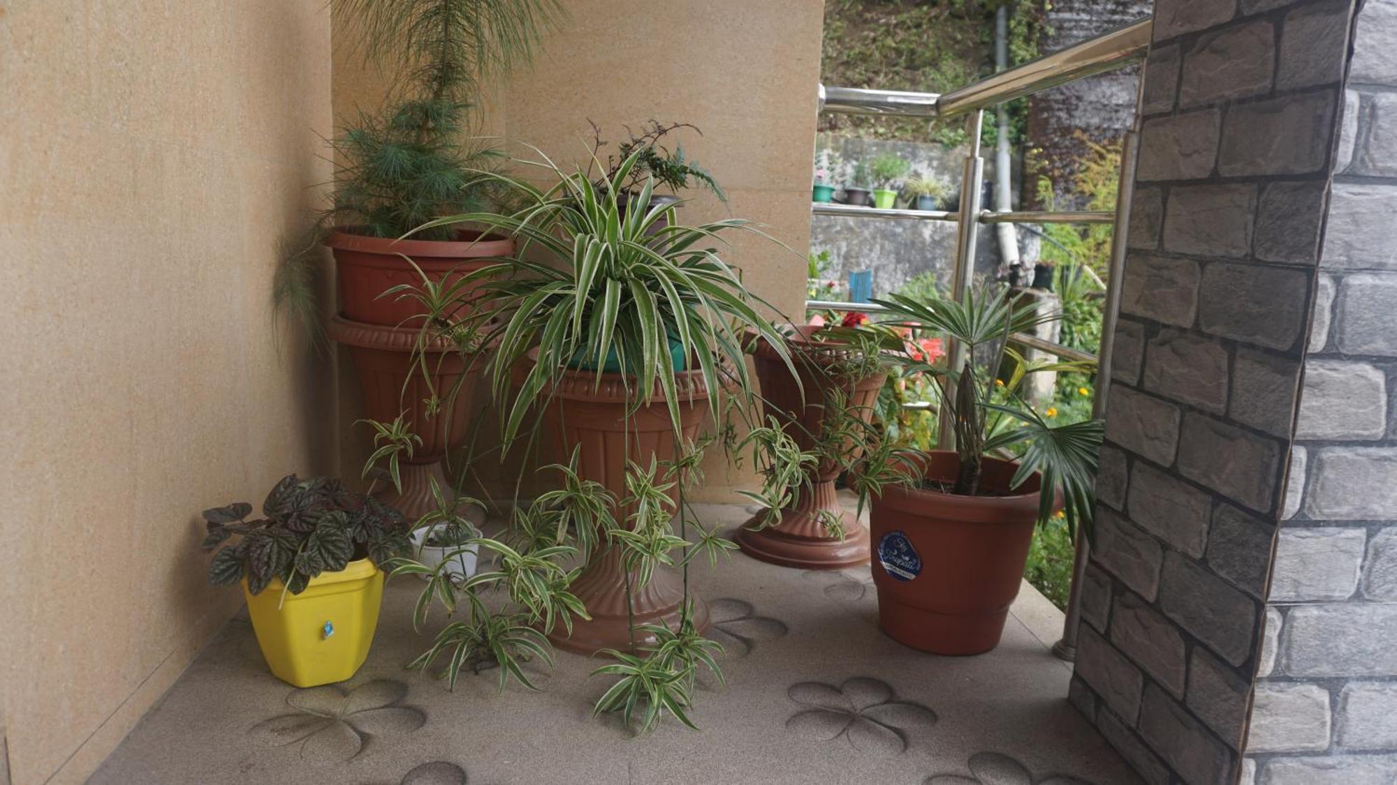 Tranquil Retreat Homestay Ghum Exterior photo