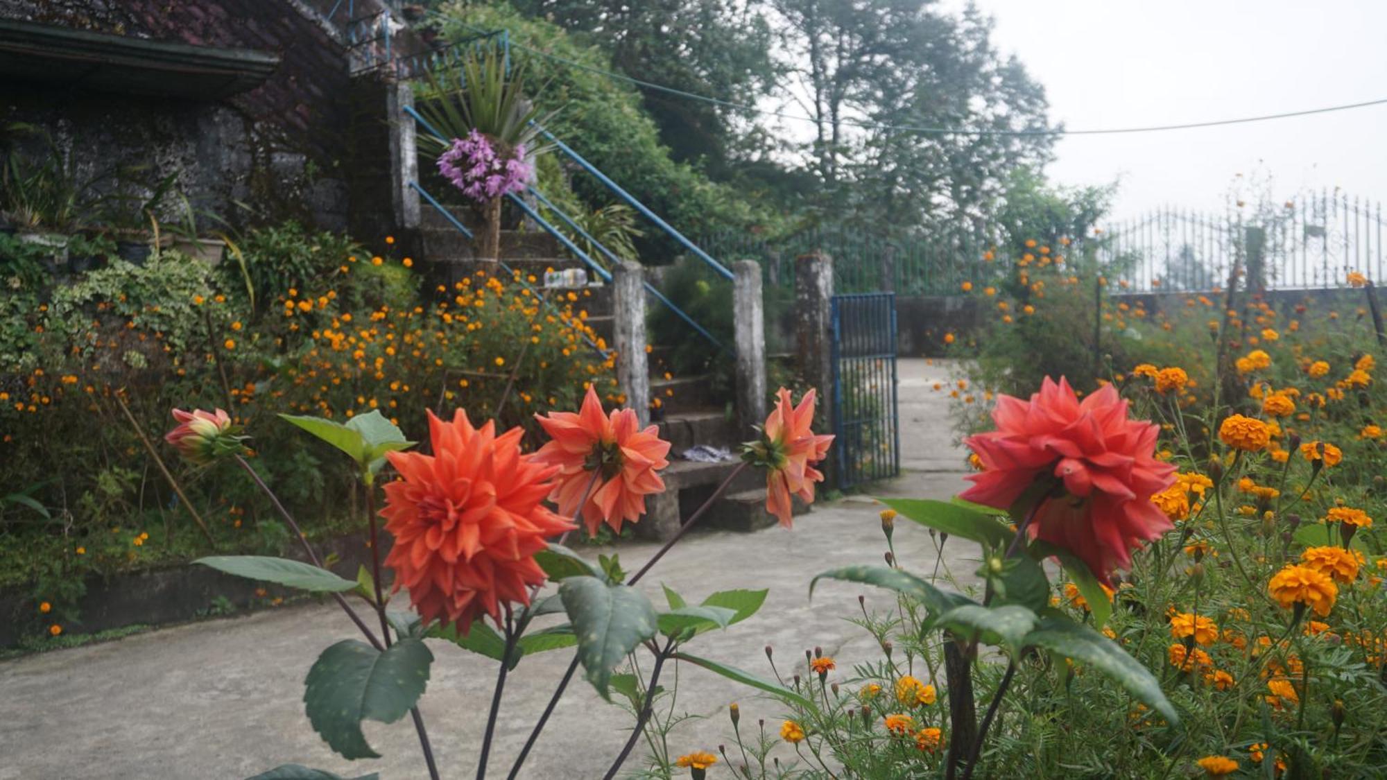 Tranquil Retreat Homestay Ghum Exterior photo
